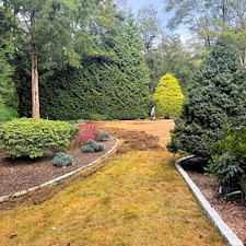 Grass-That-Lasts-Expert-Lawn-Renovation-and-Landscaping-Services-in-Trumbull 4